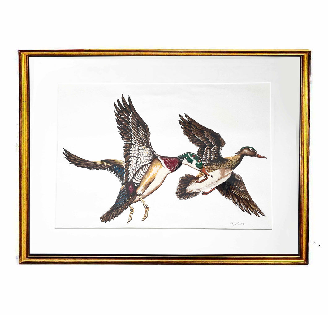 'Two Ducks Flying' Polo Sportsman Original Illustration By Julie Castillo